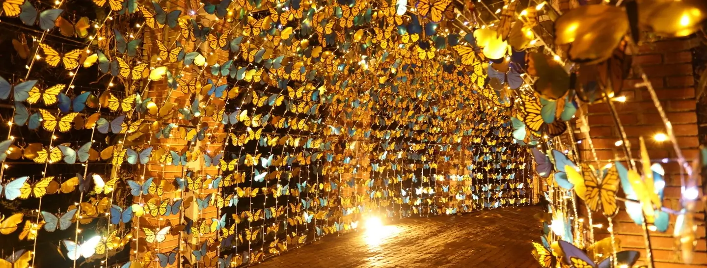 Mariposas doradas, parte de la iluminación navideña que realizó Enel X en 2022.